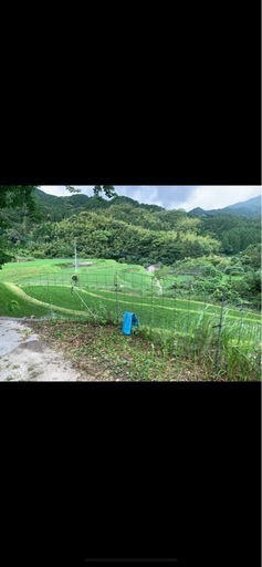 ?新米?　夢つくし　?令和7度産?
