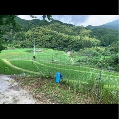 🌾新米🌾　夢つくし　🌾令和7度産🌾の画像