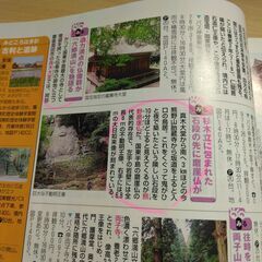 『九州 ’03　るるぶ情報版』JTBの画像
