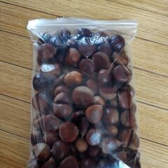 訳あり栗500グラムの画像