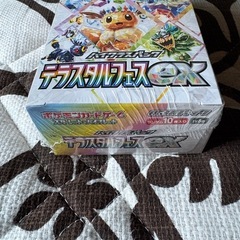 ポケモンカード　テラスタルフェスexexの画像
