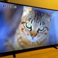🔥今も募集中🔥50インチ 4K スマートテレビ‼️2020年製‼️4Kチューナー搭載‼️YouTubeやAmazonビデオ見れます‼️の画像