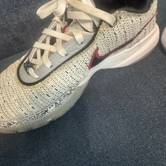 NIKE レブロン限定モデルの画像