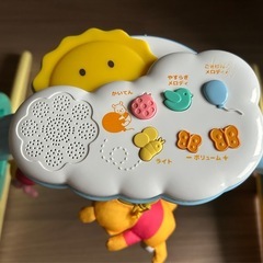 プーメリーの画像