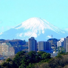 【約20%オフ】横浜テクノタワーホテル 10/12(日) シングルベッド3台トリプル宿泊権利  八景島シーパラダイス近くの画像