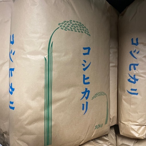 残り僅か！新米コシヒカリ