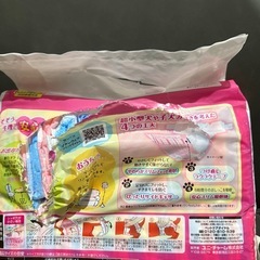 犬用　オムツの画像