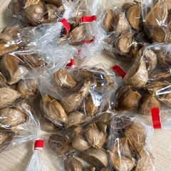 【大粒！黒ニンニク】100gの画像