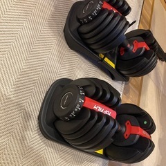 【美品】可変式ダンベル24kg2個・ベンチセットの画像