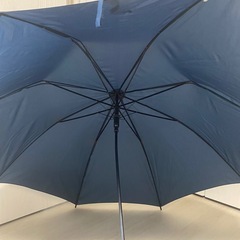子供用、予備用にどうぞ！傘の画像