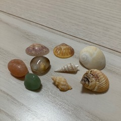 貝殻 天然石 ハンドメイド 材料 大量の画像