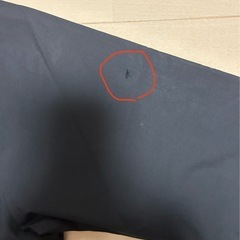 アシックスピステの画像