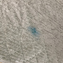カーペット　洗濯済みの画像
