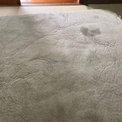 グレーカーペットの画像