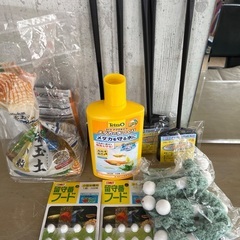 メダカと餌等の画像