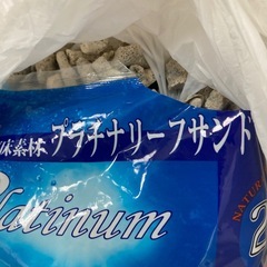 観賞魚用　プラチナリーフサンゴ　の画像