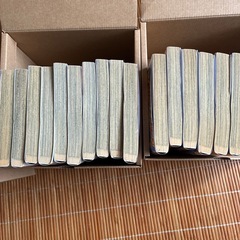 ワイルドハーフ17巻の画像