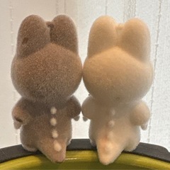 ジモモ
の画像