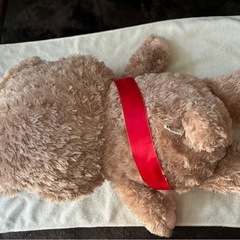 くま ぬいぐるみの画像