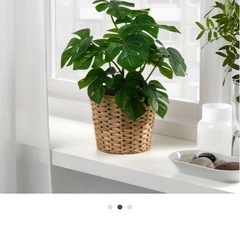 IKEAのフェイクグリーン※鉢カバー付きの画像