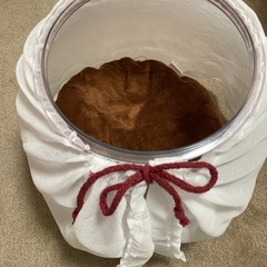 猫　金魚鉢　にゃんこ　きんぎょ鉢の画像