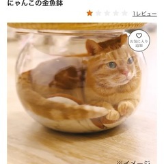 猫　金魚鉢　にゃんこ　きんぎょ鉢の画像