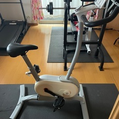 Nexgim-mg03 フィットネスバイクの画像