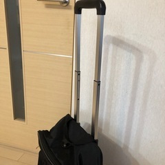 キャリーバッグ　1度のみの使用の画像