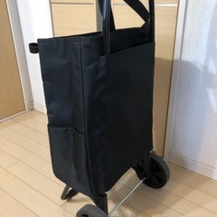 キャリーバッグ　保冷機能付き　1度のみの使用の画像