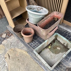植木鉢差し上げます。の画像