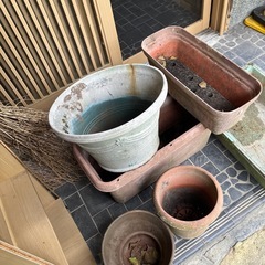 植木鉢差し上げます。の画像