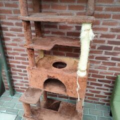 キャットタワーお譲り致します(*^^*)の画像