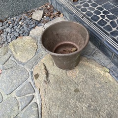 植木鉢差し上げます。の画像