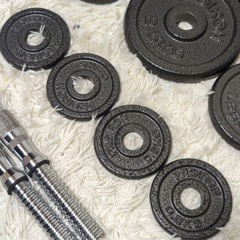 現金可能！！PROIRON プロアイロン ダンベルプレート シャフトの画像