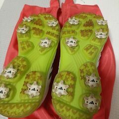 ゴルフシューズ　24.5　収納ケース付の画像