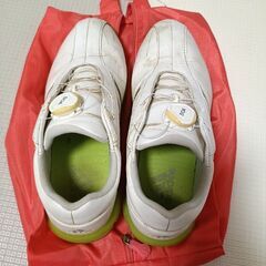 ゴルフシューズ　24.5　収納ケース付の画像