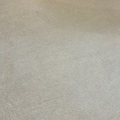 クッションラグ　
カーペット の画像