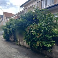 🌳【所沢市の皆さまへ】お庭の再生・伐採サービスのご案内🌳