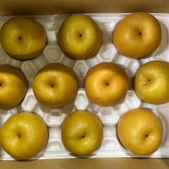 ピオーネ1箱2キロ入りの画像
