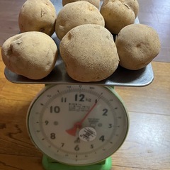 野菜セットの画像