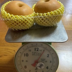 野菜セットの画像