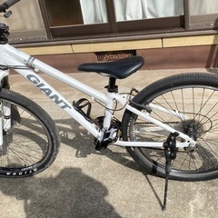 Giant SNAP 自転車の画像