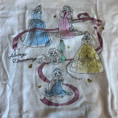 プリンセスUT 120の画像