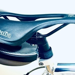 岩井商会⭐︎GANWELL PRO ロードバイク　ホリゾンタルフレームの画像