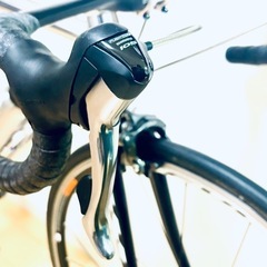 岩井商会⭐︎GANWELL PRO ロードバイク　ホリゾンタルフレームの画像