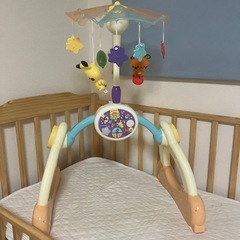 ポケモン メリージム※条件付き無償可の画像