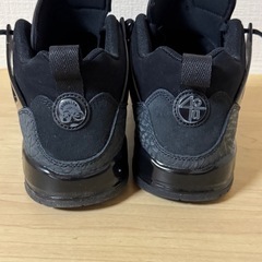 NIKEスパイジークロウ 25cmの画像