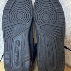 NIKEスパイジークロウ 25cmの画像