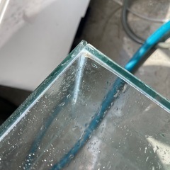 30センチキューブ水槽の画像