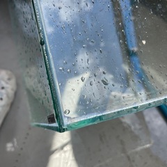 30センチキューブ水槽の画像